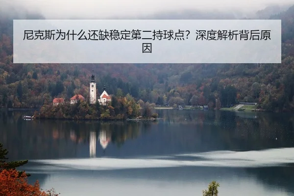 尼克斯为什么还缺稳定第二持球点？深度解析背后原因